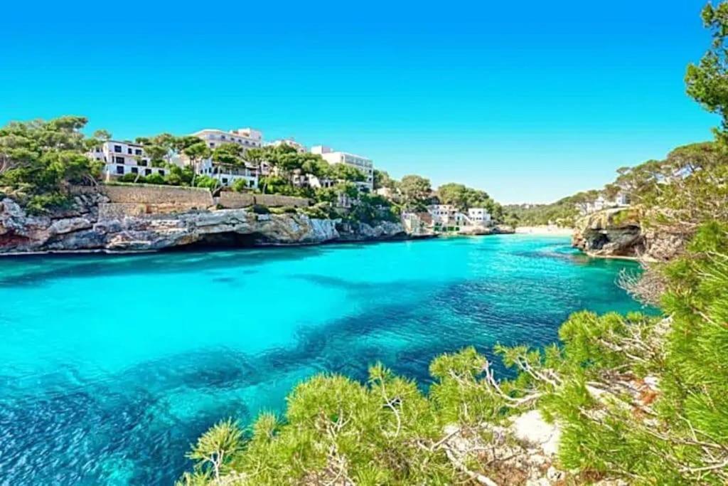 Descubre El Paraiso En La Grand Bleu Playa A 500 Metros Opcion Piscina Climatizada A 30º