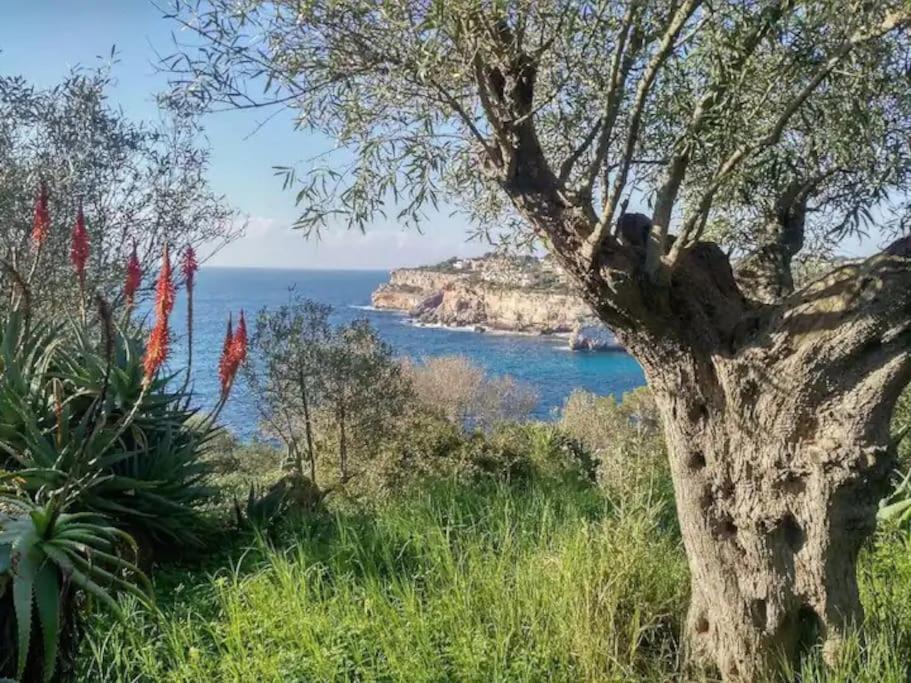 Descubre El Paraiso En La Grand Bleu Playa A 500 Metros Opcion Piscina Climatizada A 30º